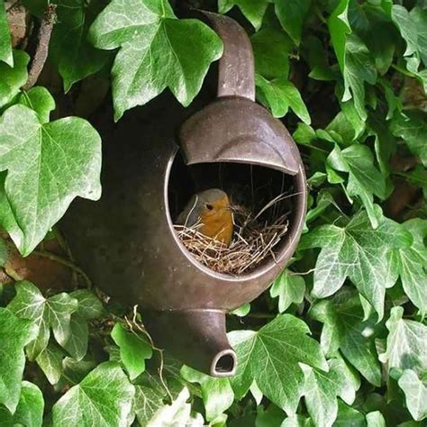 Birds Make Their Nests In The Weirdest Places - Gallery | eBaum's World