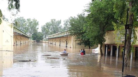 Punjab: Flood water enters Sardulgarh town, low-lying areas inundated ...