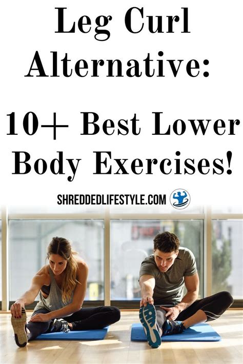 Leg Curl Alternative: 10+ Best Lower Body Exercises! - Shredded Lifestyle | Lower body workout ...