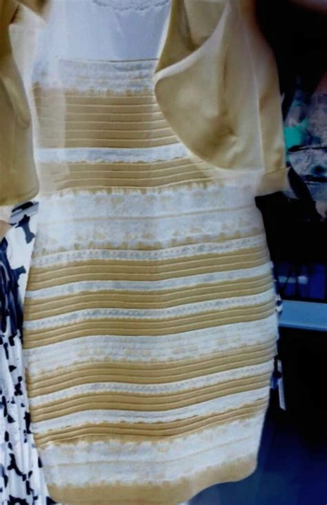 The Black and Blue, White and Gold Dress Finally Explained! - ZENIA