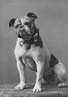 Famous Dogs in History: Handsome Dan: Yale's Famous Mascot