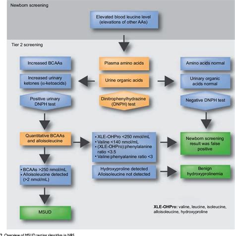 Maple Syrup Urine Disease | Semantic Scholar