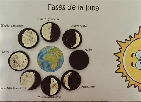 Fases de la Luna con galletas Oreo | Fases de la luna, Paralelos y meridianos, Maquetas para niños