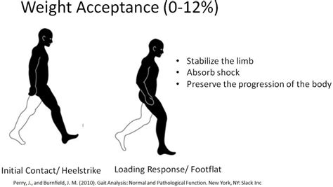 Engineering at Alberta Courses » Gait analysis