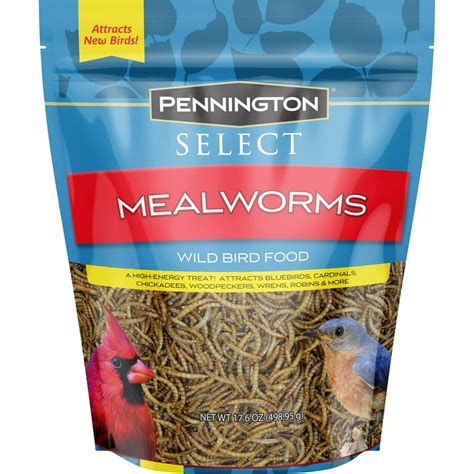 Pennington Mealworms, Wild Bird Food, 17.6 oz. Bag - Walmart.com ...