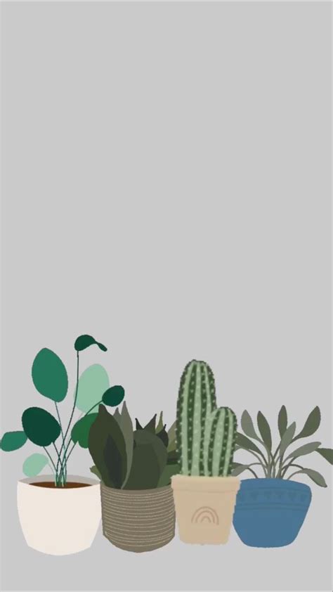 Boho plants | Iphone background wallpaper, Plant wallpaper, Aesthetic ...