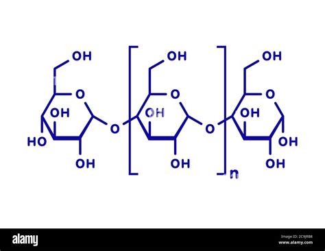 Amylose polysaccharide polymer, chemical structure. Component of starch (in addition to ...