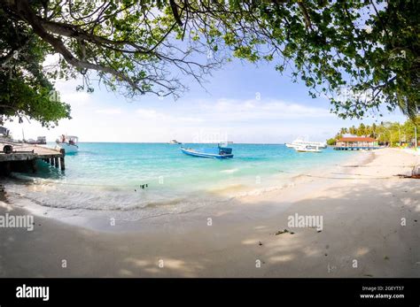 Nice white beach in island Maldives Stock Photo - Alamy