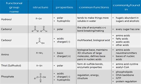 Functional Groups Diagram