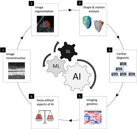 Frontiers | Editorial: Current and Future Role of Artificial Intelligence in Cardiac Imaging