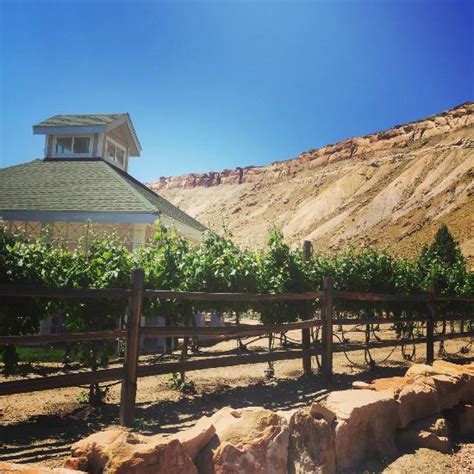 Wine Country Inn - UPDATED 2017 Prices & Hotel Reviews (Palisade, CO ...