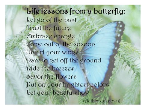 Life Lessons From A Butterfly Pictures, Photos, and Images for Facebook ...