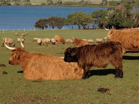 Churchill Island Heritage Farm - Living Pioneer History