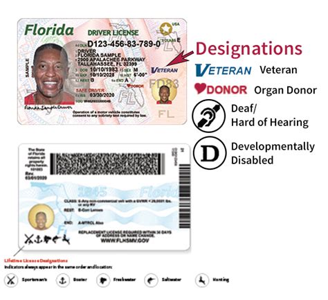 Florida Drivers License Miami Gardens | Fasci Garden