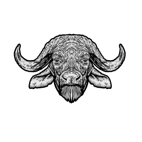 dierlijke Afrikaanse buffel hoofd tekening 3236317 Vectorkunst bij Vecteezy