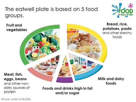 The eatwell plate © Food - a fact of life 2008. - ppt video online download Healthy Cat Treats ...