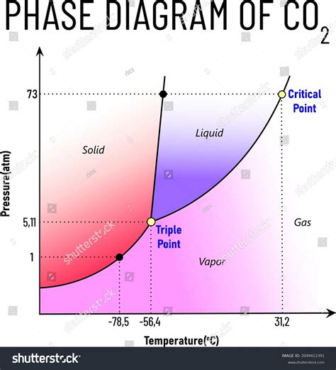 Solved Label The Phase Diagram For Carbon Dioxide Liq - vrogue.co