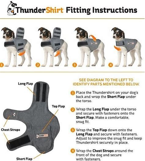 ThunderShirt Anxiety & Calming Solution for Cats, Heather Grey, Small - Chewy.com