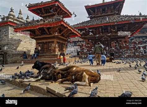 Hanuman dhoka durbar square hi-res stock photography and images - Alamy