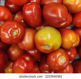 6,175 Benefits Of Tomato Images, Stock Photos & Vectors | Shutterstock