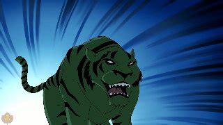 Teen Titans : Animal TF: Tiger