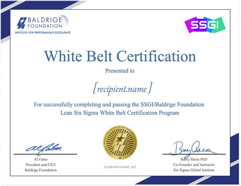 Baldrige White Belt - Six Sigma Certification and Training | Lean Six Sigma