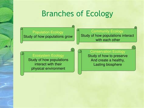 PPT - Intro to Ecology PowerPoint Presentation, free download - ID:7060386