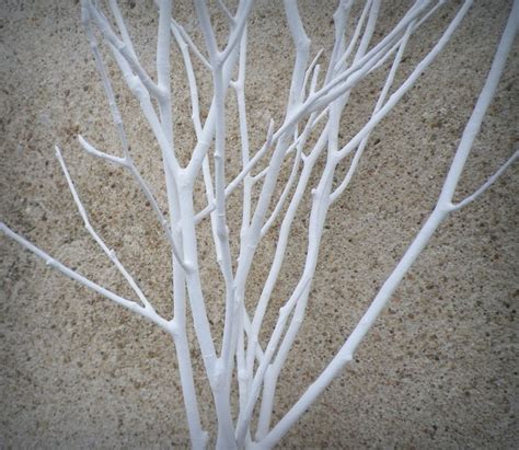 Wedding Centerpiece, 6 White Tree Branches, Decorative Branches for ...