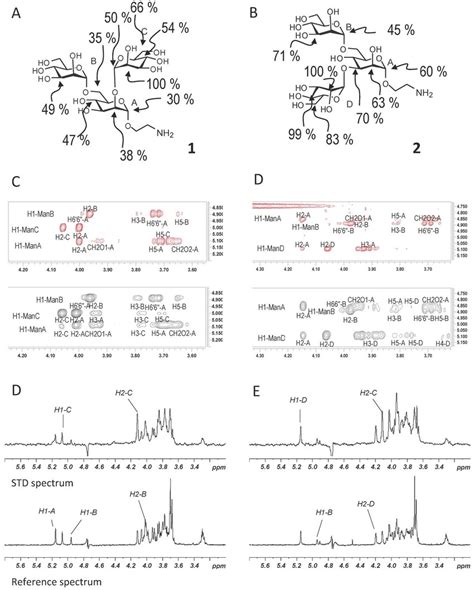 Trisaccharide 1 (A) and 2 (B) with the relative STD values (2 s), (C... | Download Scientific ...