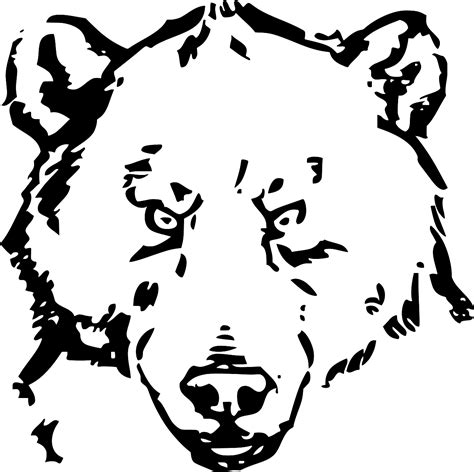 SVG > wild face grizzly power - Free SVG Image & Icon. | SVG Silh