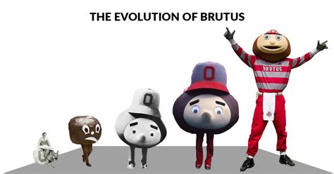 A detailed timeline of the evolution of Brutus Buckeye