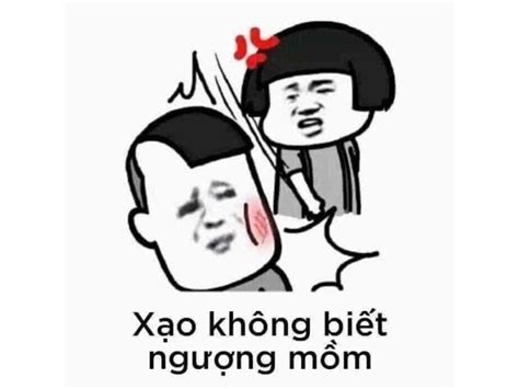 Ảnh meme đánh nhau, meme mèo đánh nhau troll bạn bè - Coolmate