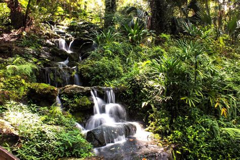 12 Amazing Waterfalls in Florida - The Crazy Tourist