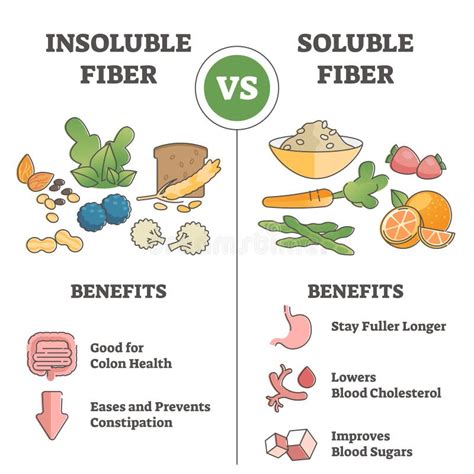 Insoluble or Soluble Fiber Consumption Benefits Comparison Outline Concept Stock Vector ...