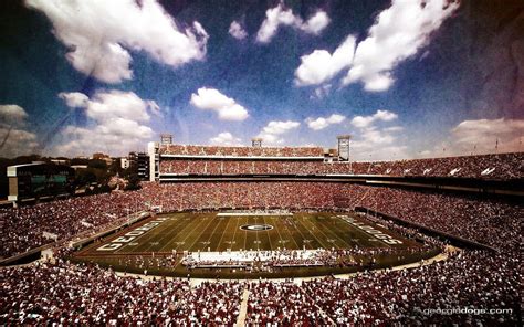 Georgia Bulldogs Stadium Wallpaper