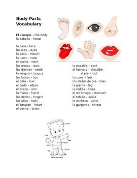 Spanish Body Parts Vocab List by Fun with Spanish | TPT