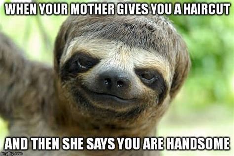 13+ Cute Sloth Memes for Your Absolute Enjoyment – Happy Sloth Co.