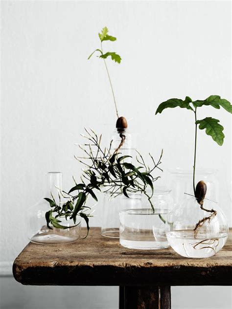 15 DIY Indoor Water Garden Ideas | HomeMydesign