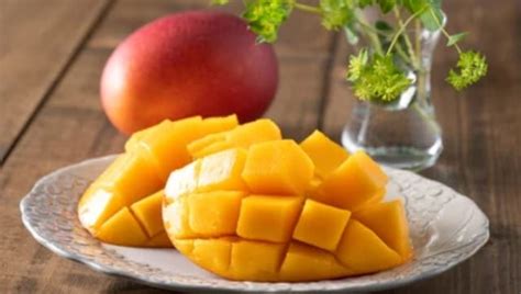 National Mango Day 2021: History, facts about 'king of fruits' and how 'manna' became 'manga'