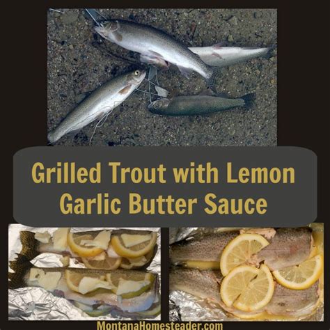 Grilled Trout with Lemon Garlic Butter Sauce