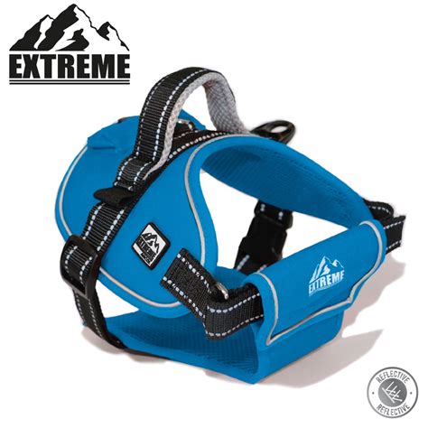 Ancol Extreme Harness Blue - Small - Dog Harnesses - Farm & Pet Place