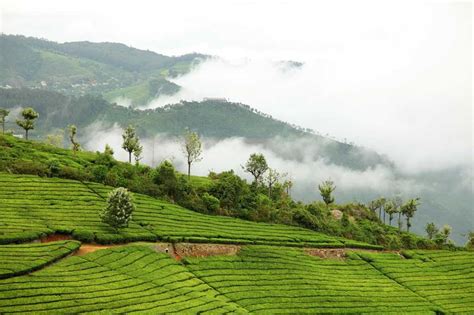 Hidden Valley, Coonoor | Photos, Entry fee, Timings @Holidify