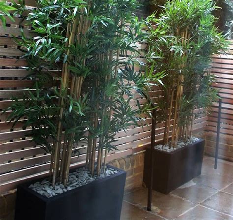 Best Artificial Bamboo Plants (perfect for outdoor privacy screens!) | Posh Pennies