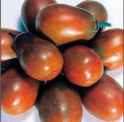 Chocolate Plum Tomato Seeds | Plum tomatoes, Tomato seeds, Plum seed