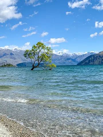 Lake Wanaka Pictures | Download Free Images on Unsplash