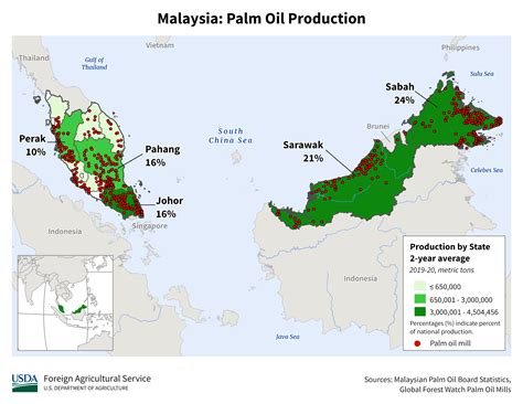 Palm Oil Explorer