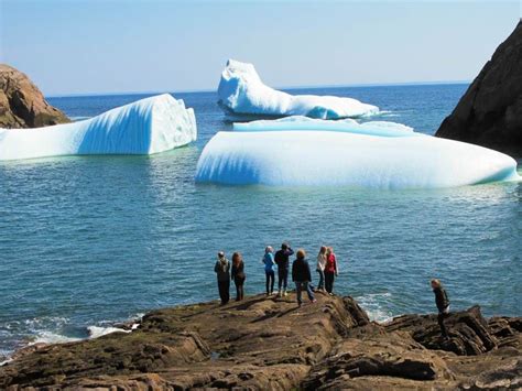 Top 10 things to do in st john s newfoundland – Artofit