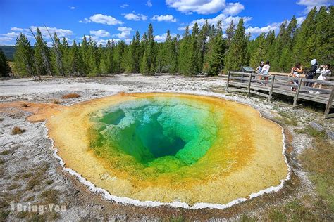 Yellowstone National Park: A Complete Guide to an Otherworldly ...