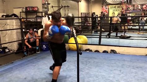 Boxing Boxing Reflex Cobra Bag Speed Bag Ryan Garcia Canelo Bag ...