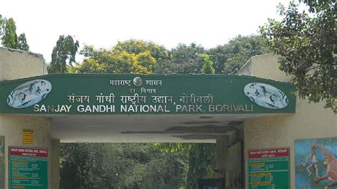 Mumbai: Curbs on Construction Work Within 1km of Sanjay Gandhi National Park Not for Ongoing ...